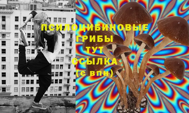 Галлюциногенные грибы MAGIC MUSHROOMS  Железногорск 