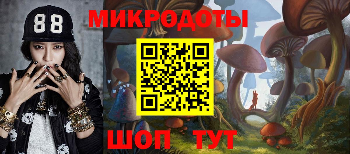 Железногорск  Галлюциногенные грибы мицелий  Вход с VPN 